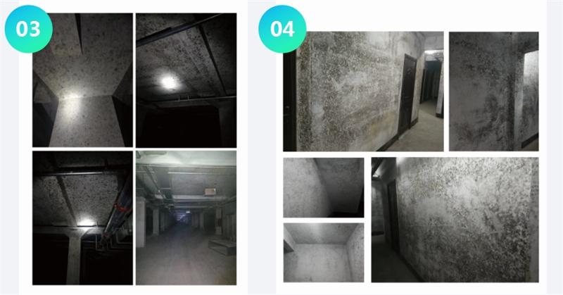 霉菌的溫床：地下車庫或儲藏室潮濕、滲漏...(圖2)