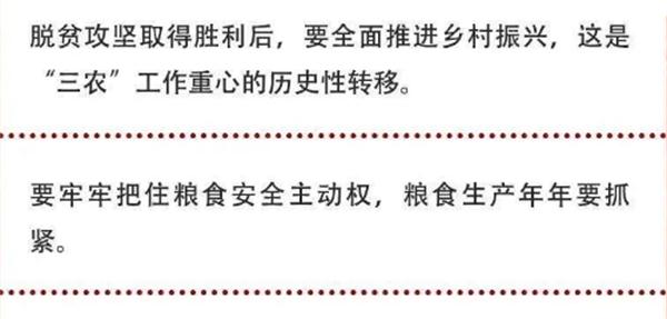 2020年中央農(nóng)村工作會(huì)議精神速覽！(圖2)